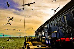 ip攻击器网页版