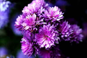 在线DDOS压力测试网页端